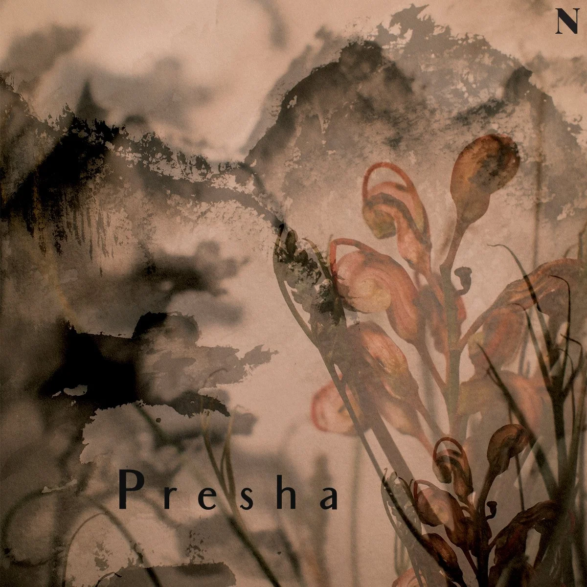 Nachtblumen Podcast #29 Presha