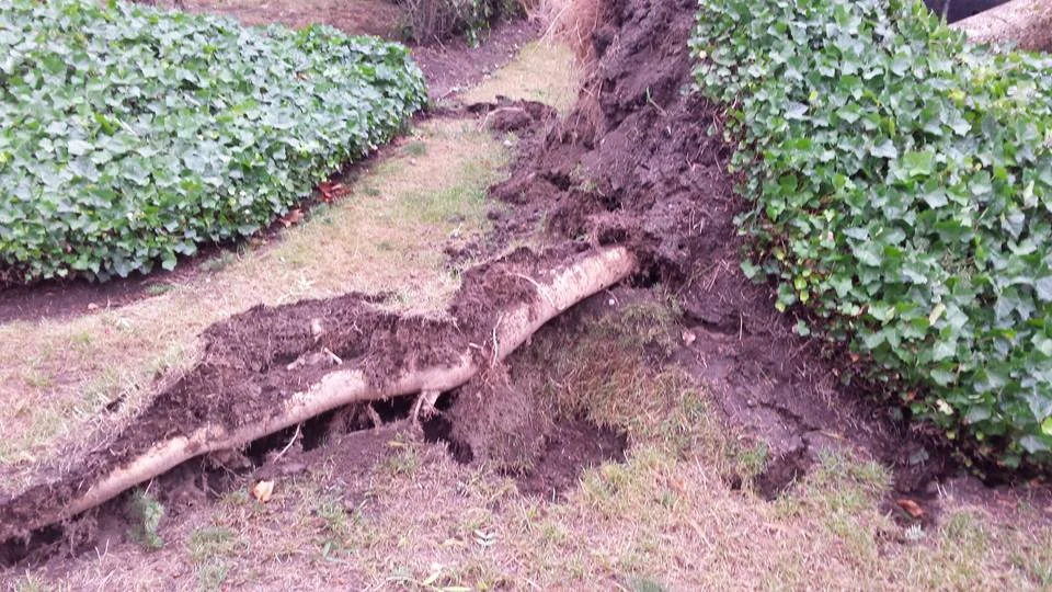 The BC Windstorm of August 2015