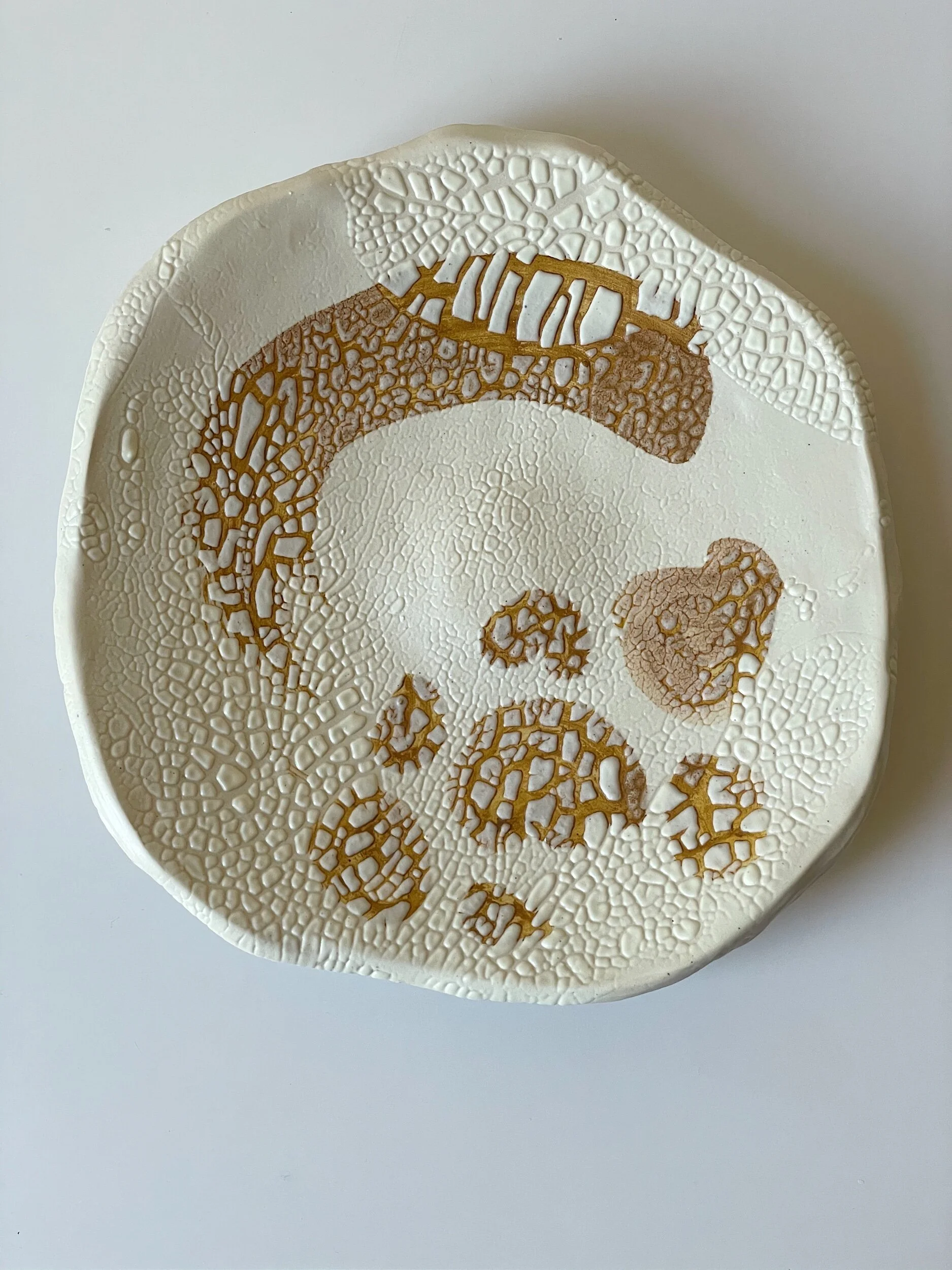 A8A32DB5-9D53-43EA-86FC-6160A4964505