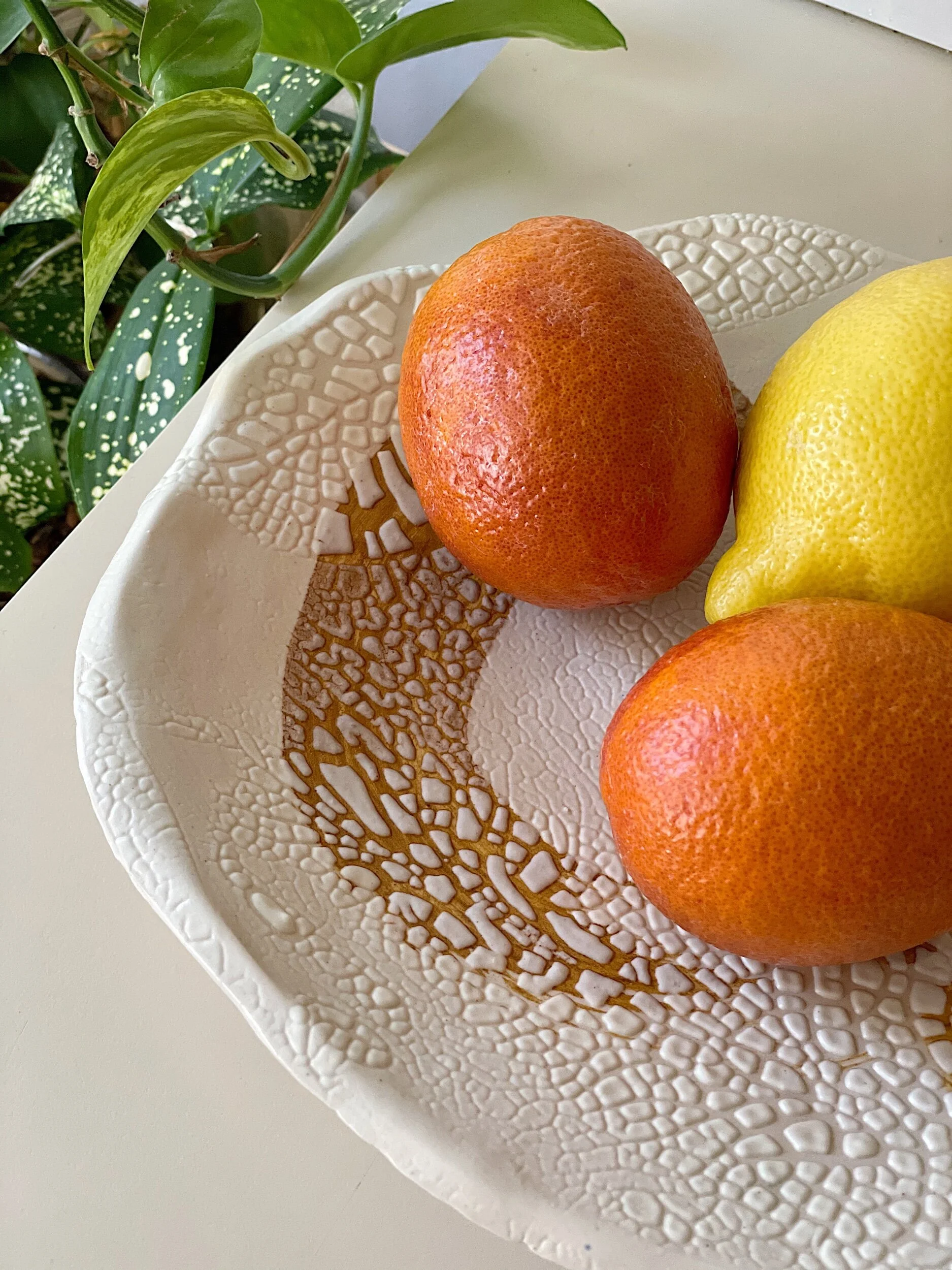 C032CDCD-11B3-4A5E-9F7F-BE6AFE282A07