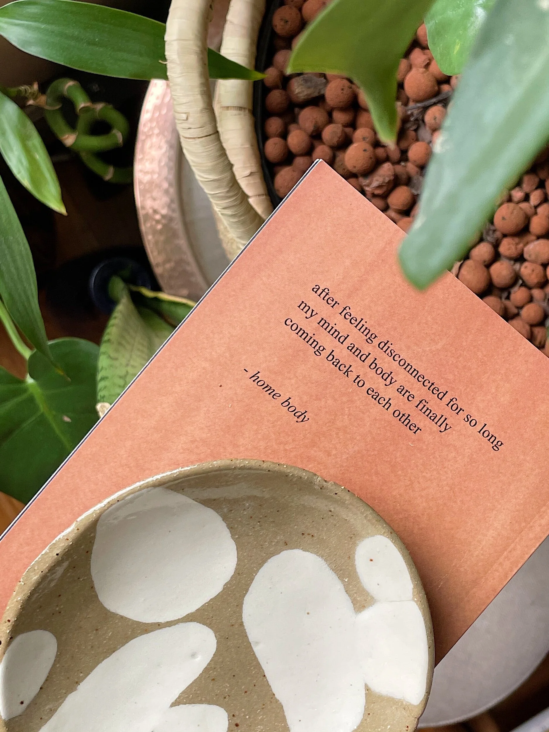 CE091A80-01DB-440B-A80F-A496E5D3B7EF