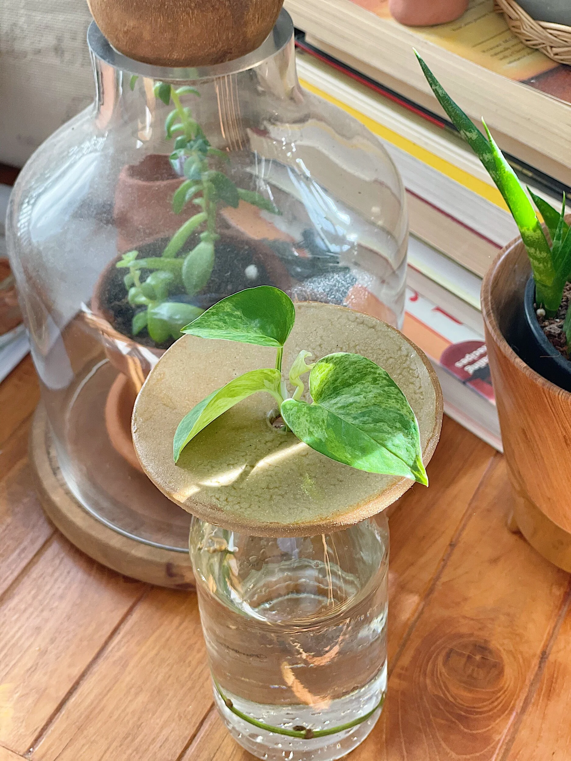 20505AE6-49AD-434F-A92C-3CC76D8768A1