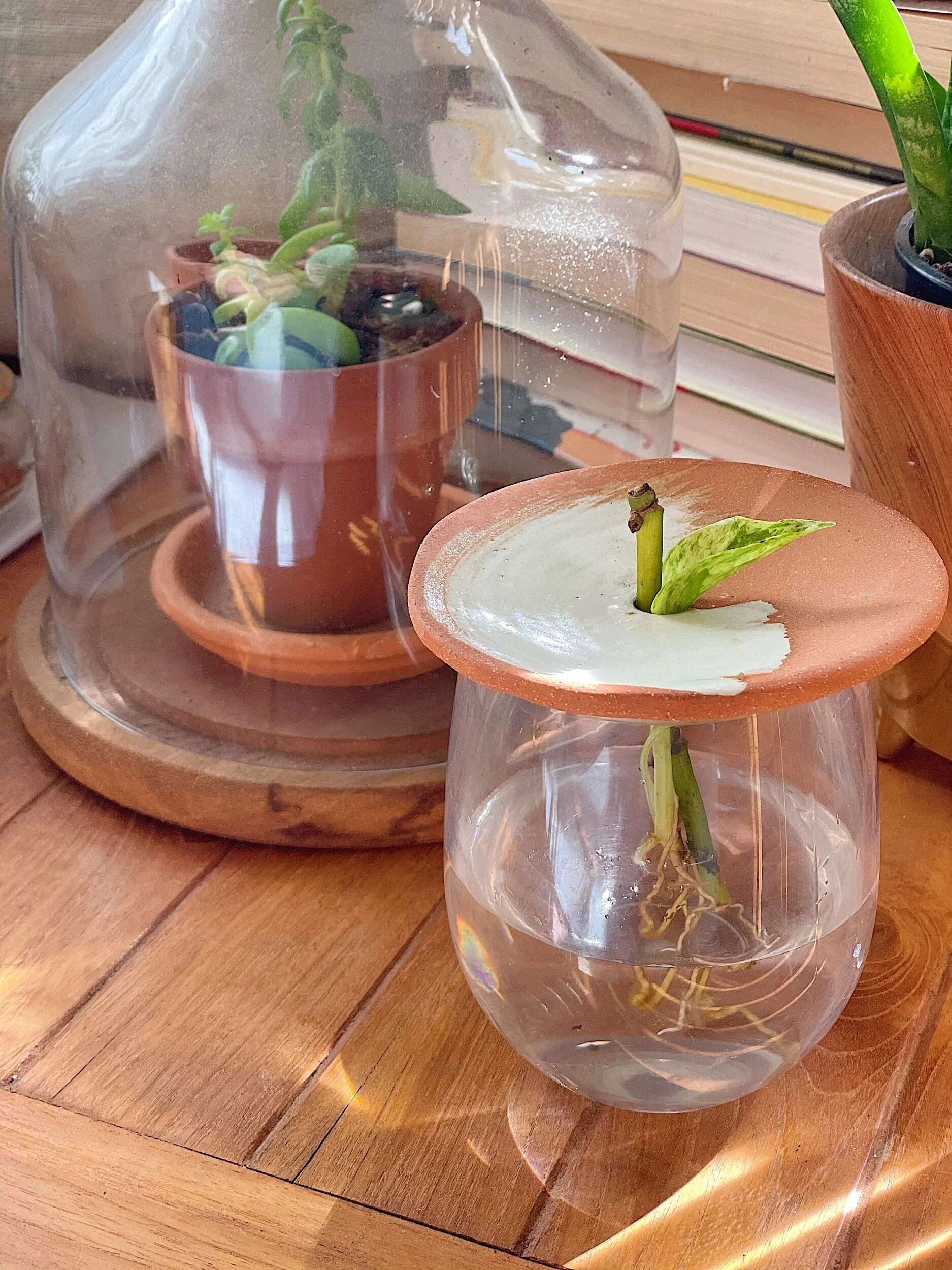 8E7C085E-B7AD-4331-816E-C939F8EC32A3