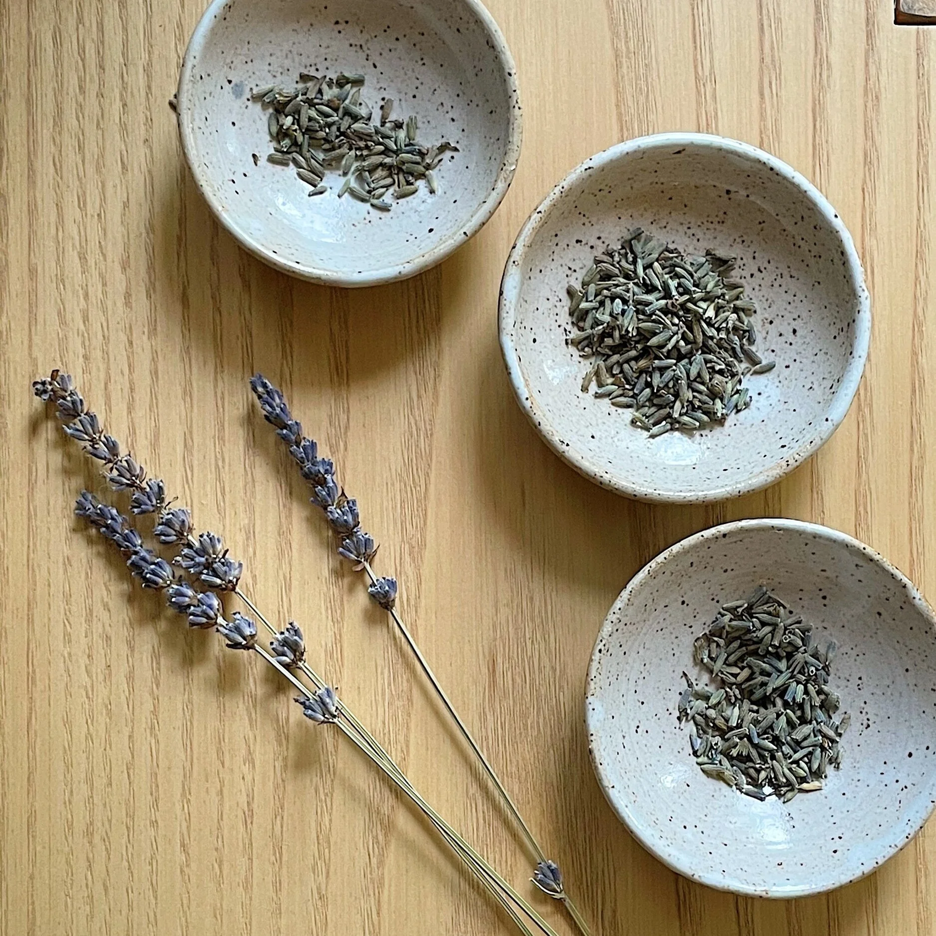    little speckled trio