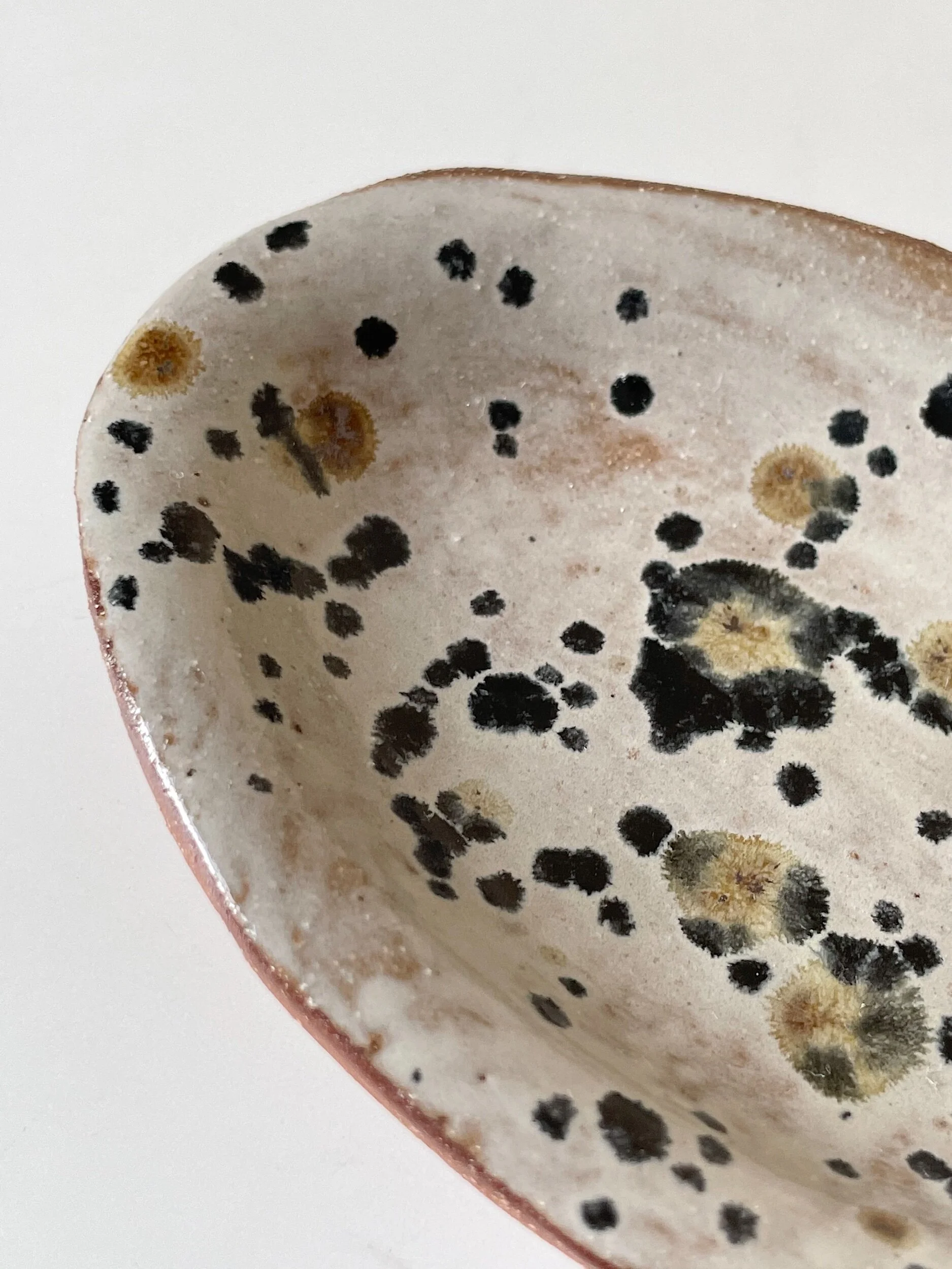 0E331028-E8D8-407E-BB77-42BEC3275221