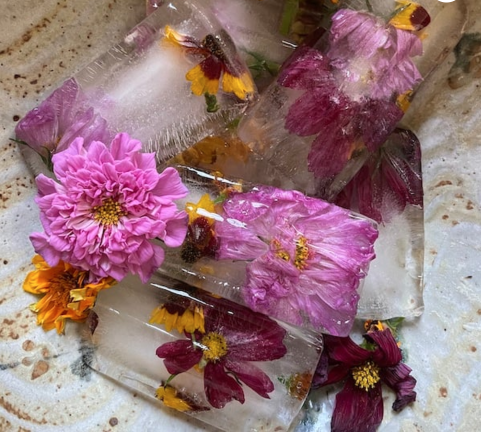 Screen Shot 2025-02-26 at 5.39.54 PM.png