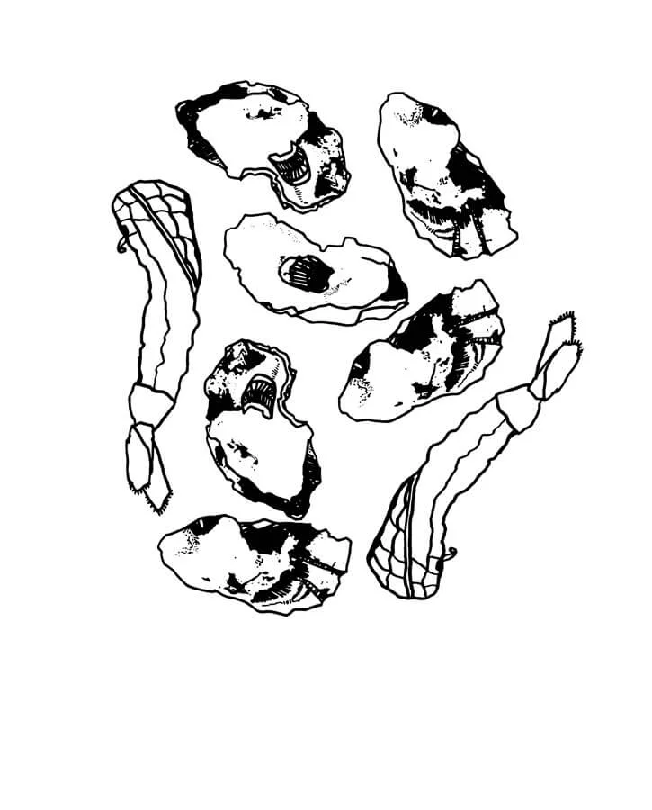 BLACK-&-WHITE-seafood.jpg