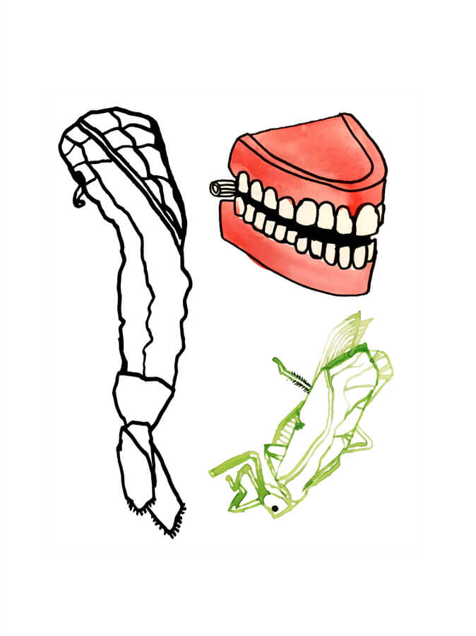Shrimp-Hopper-Fangs.jpg