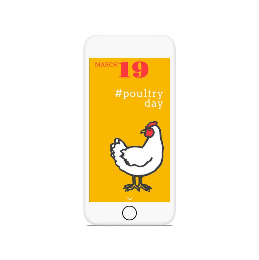 Poultry.jpg