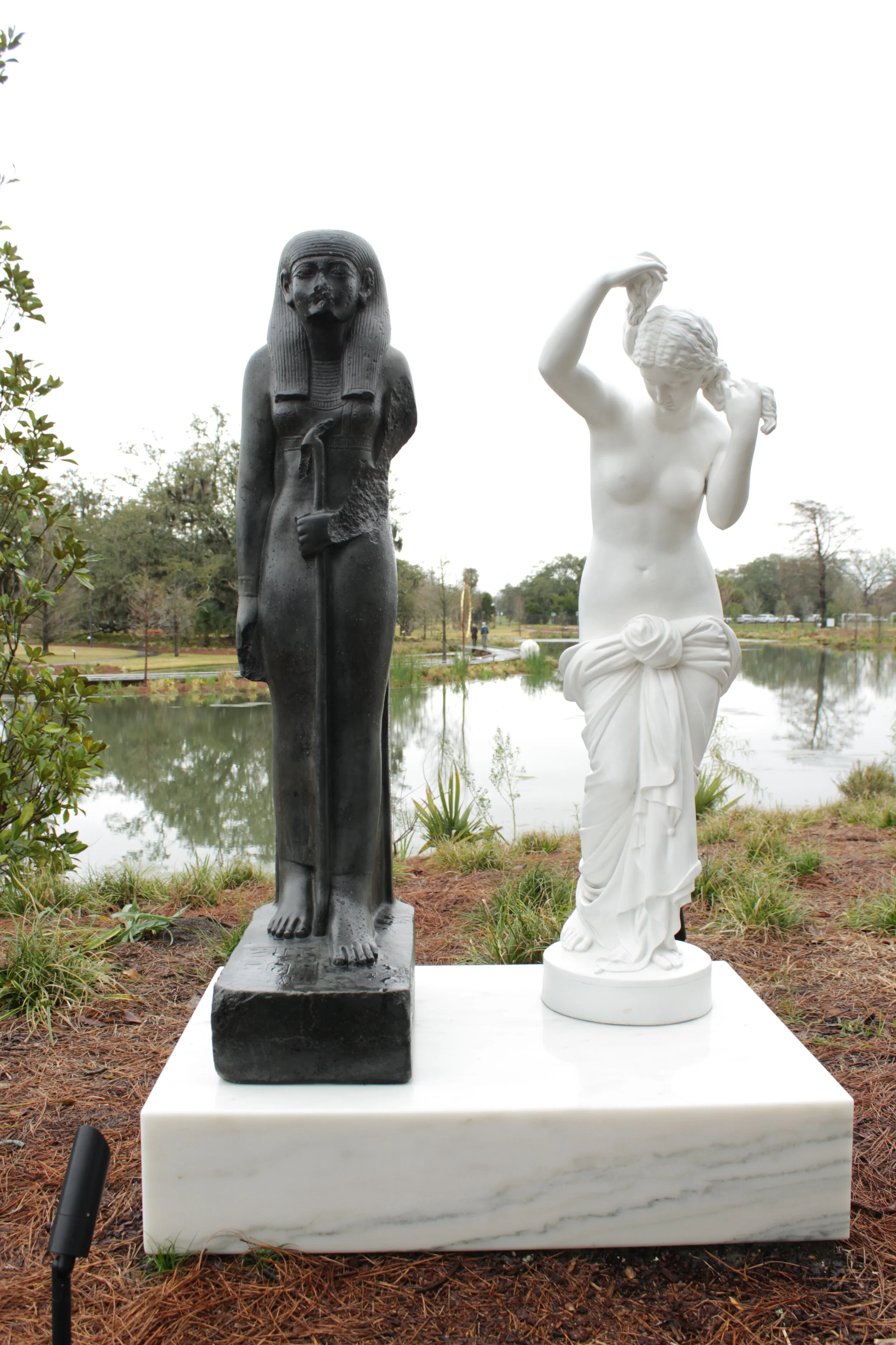 IMG_2768.JPG