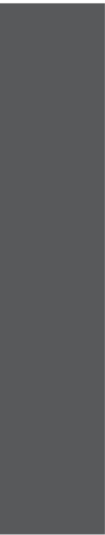 verticalGray.jpg