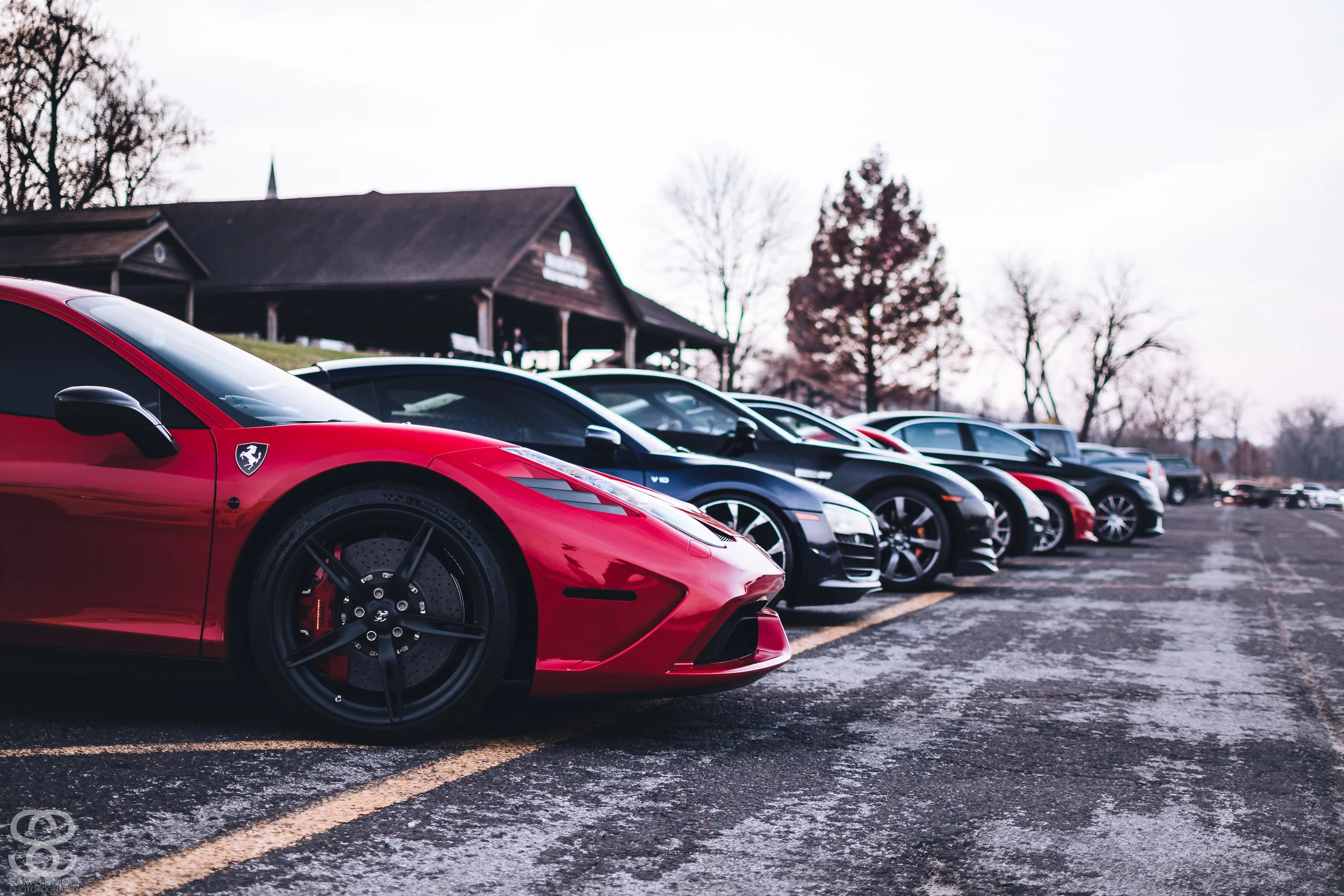 DSC_8071.jpg