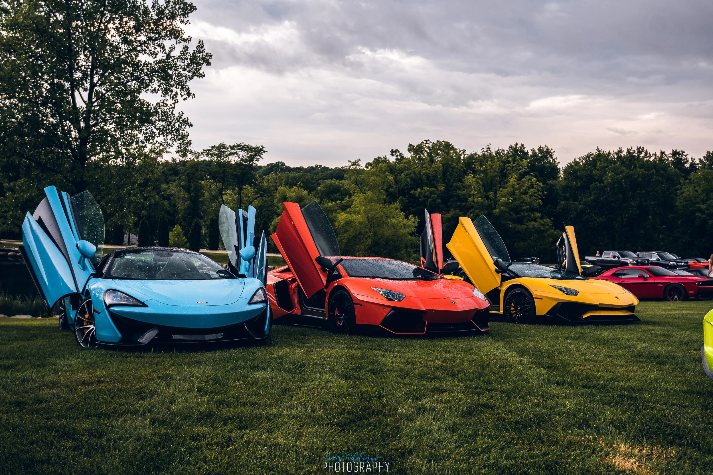 DSC_5424.jpg