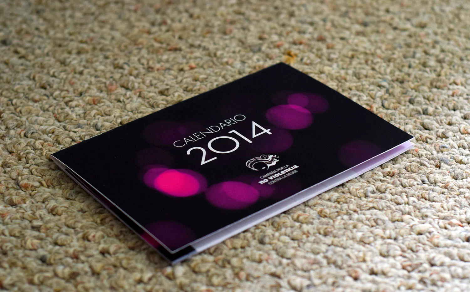 Calendar of activities 2014