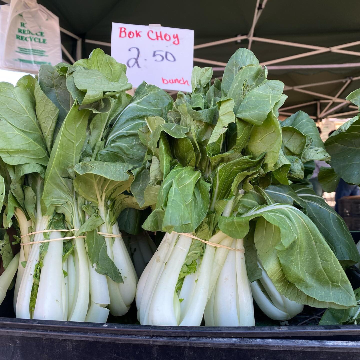Bok choy grows well in vertical farming applications. Singapore is home to several commercial operations with growing towers stacked 30 feet in the air.

Bok choy has a mild, sweet flavor and a crispy texture. It&rsquo;s in season during cold weather