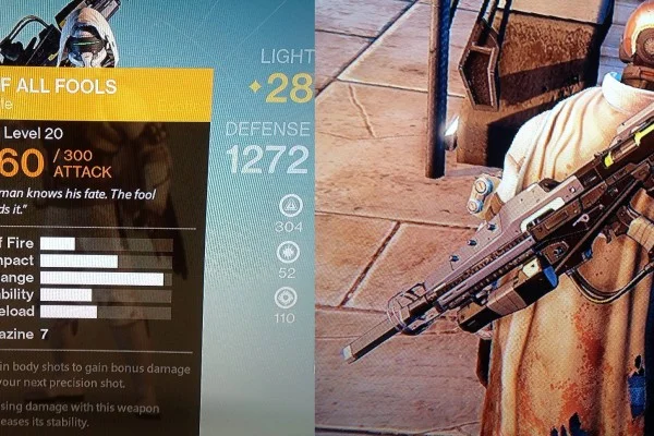 Bungie Gives Exotic Scout Rifle to Destiny Player Recovering from Brain Surgery