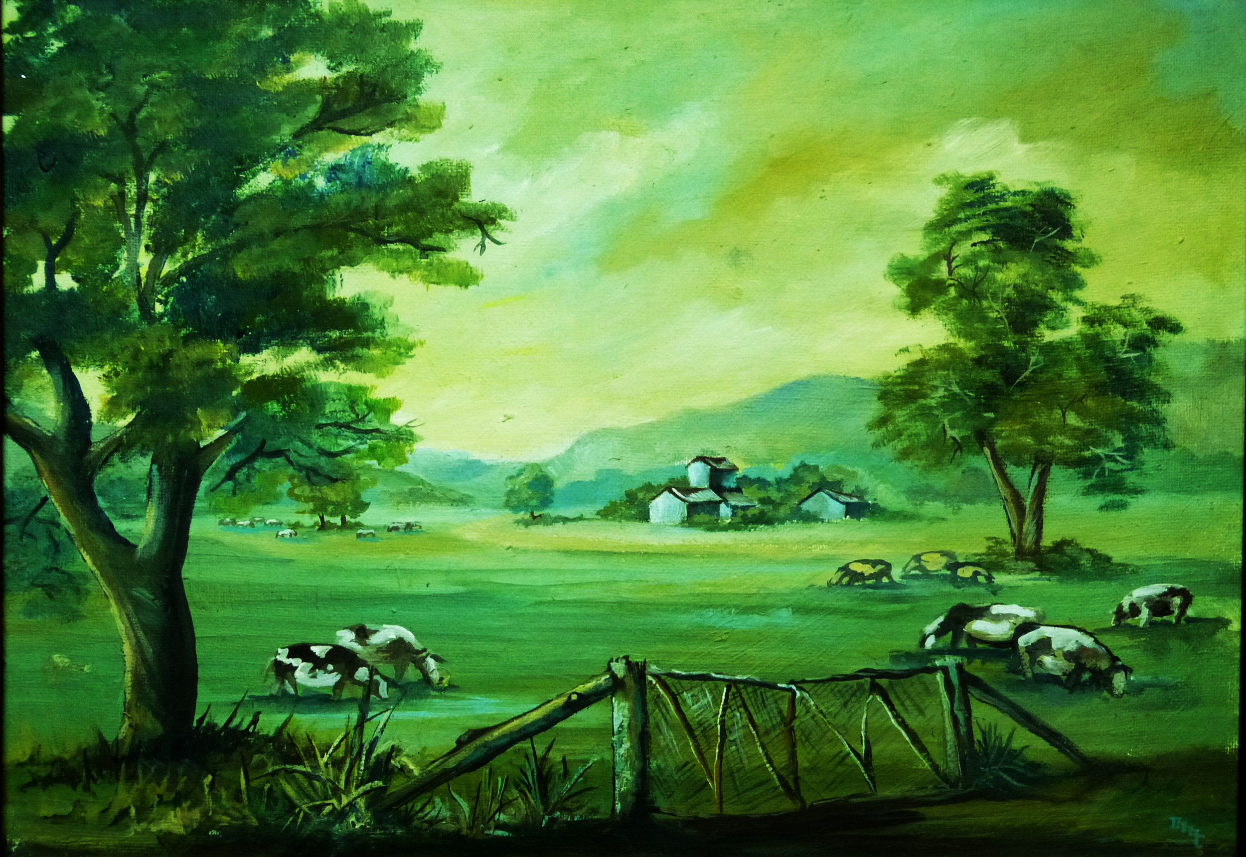 Australia field.jpg