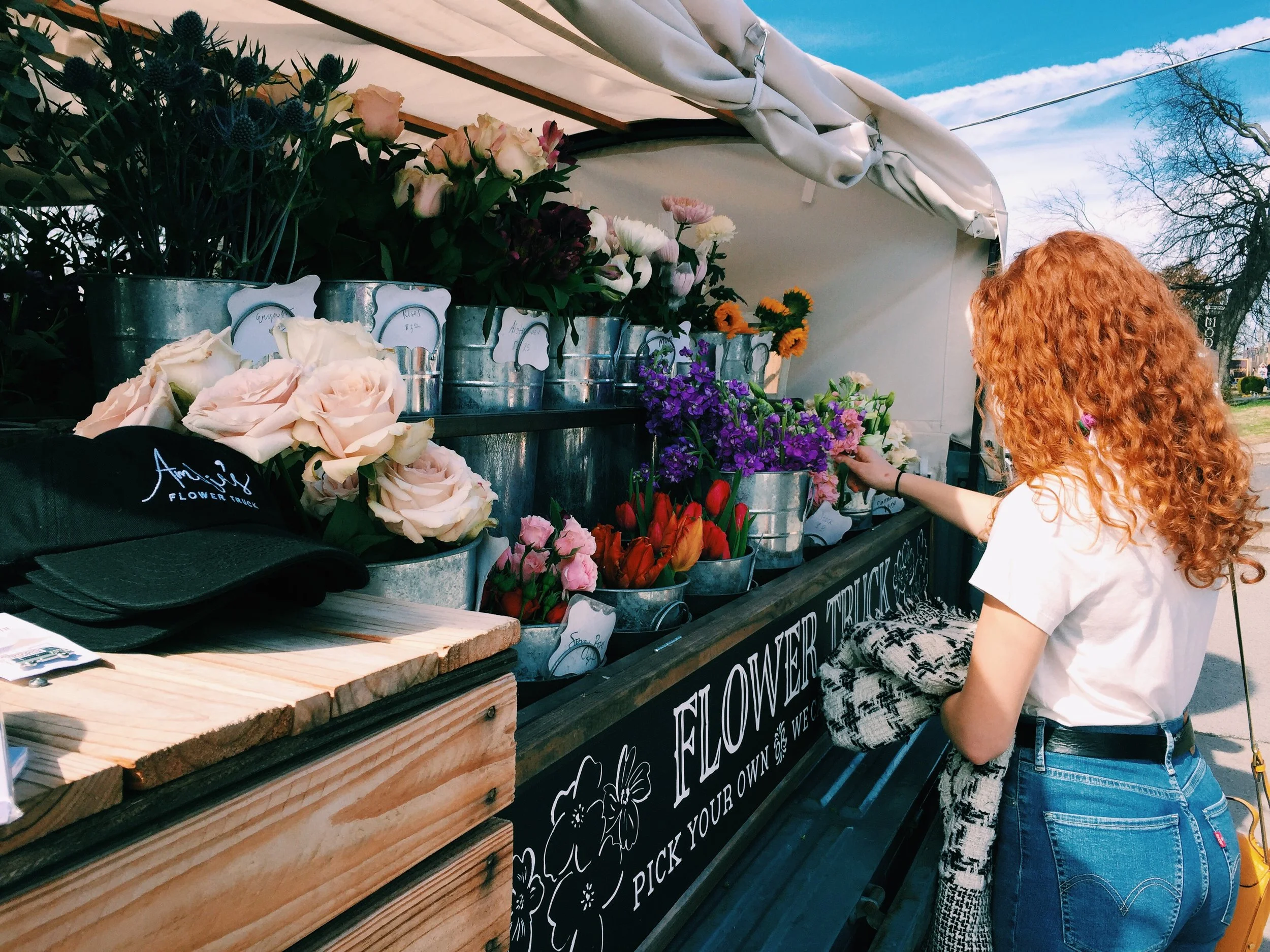 Guide to Nashville, TN 