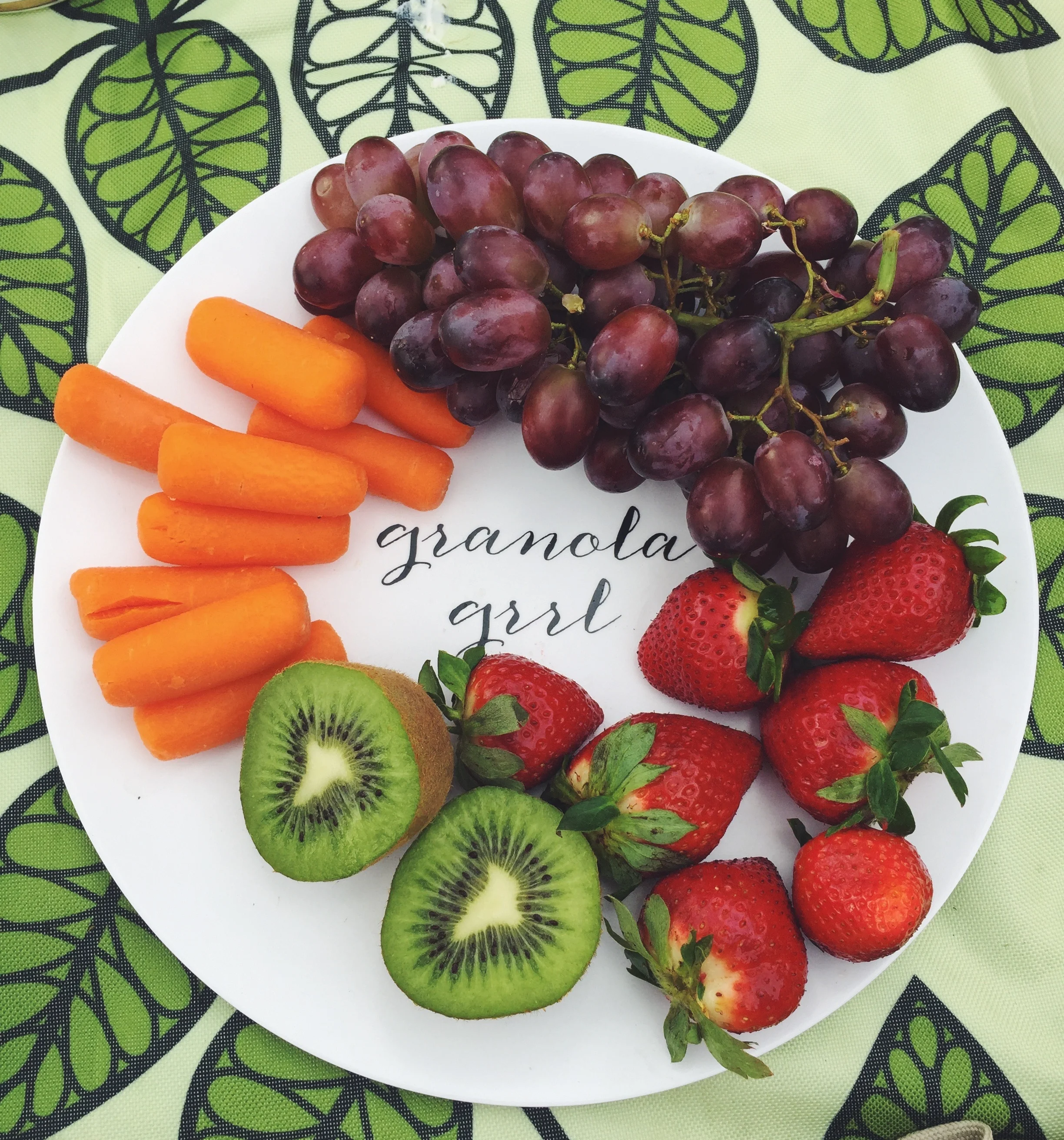 Spring Picnic Planning 