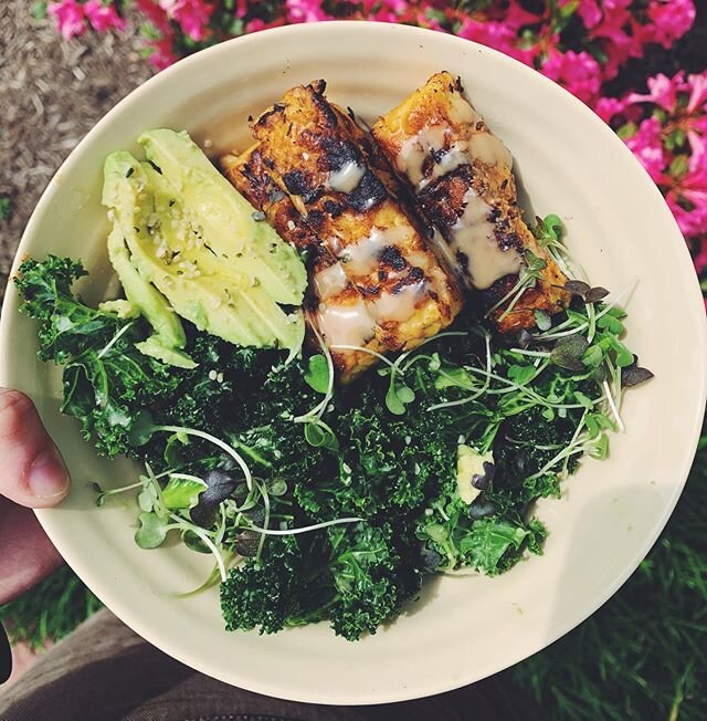 kale salad with tahini lemon dressing + olive oil, sliced avo, tempeh, hemp seeds, and @greengirlproduce_901 microgreens!! ( I got the microgreens delivered along with some other local produce/ grocery items through the @tambolisresto mobile grocery 