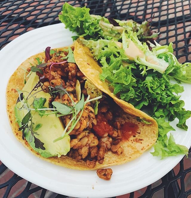 happy #tacotuesday &amp; Cinco de Mayo!! tempeh taco with salsa and guacamole + some @rosecreekfarms spring mix and microgreens 🌮