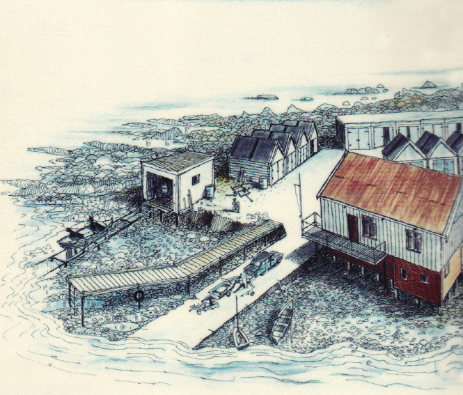 Plimmerton Boating Club / Saturday 8th November 2025