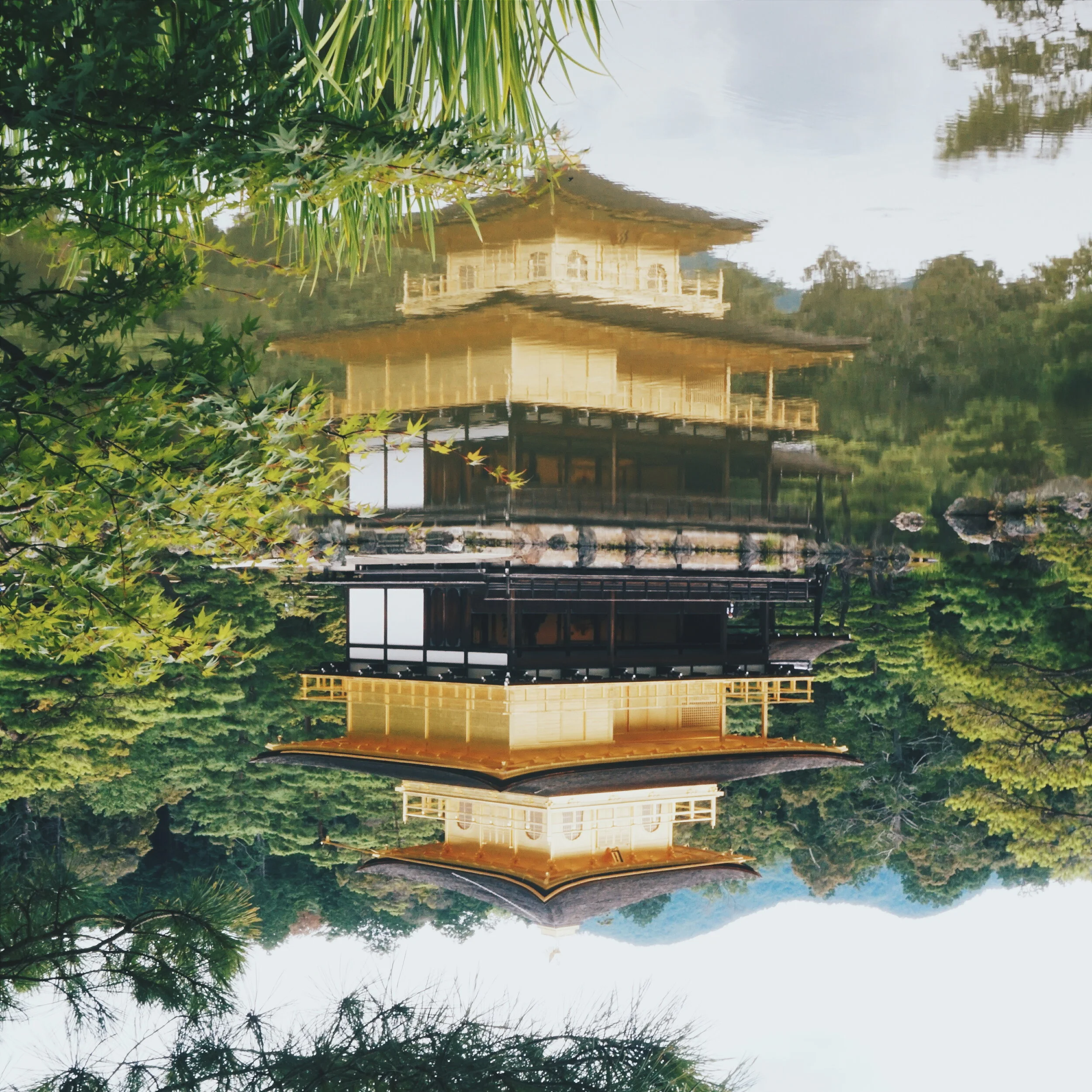 2016-07-11 11.52.00 1.jpg