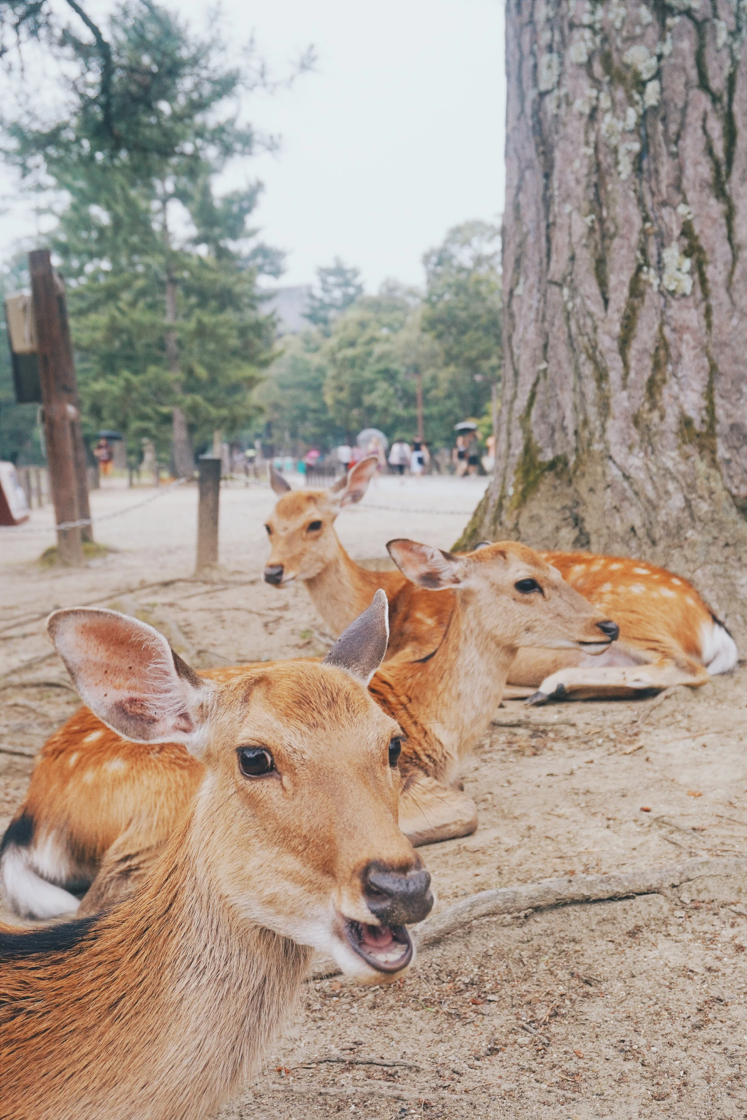 2016-07-09 01.03.08 1.jpg