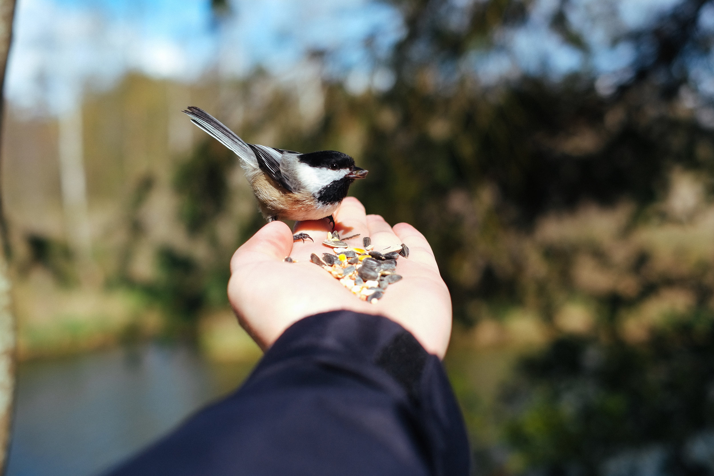 DSCF7249-2.jpg