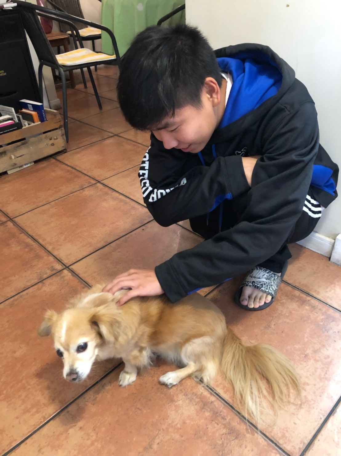 Yasuhiro Ishiyama with Poofy/Puffy/Fluffy, the Grange Family's Friendly Dog