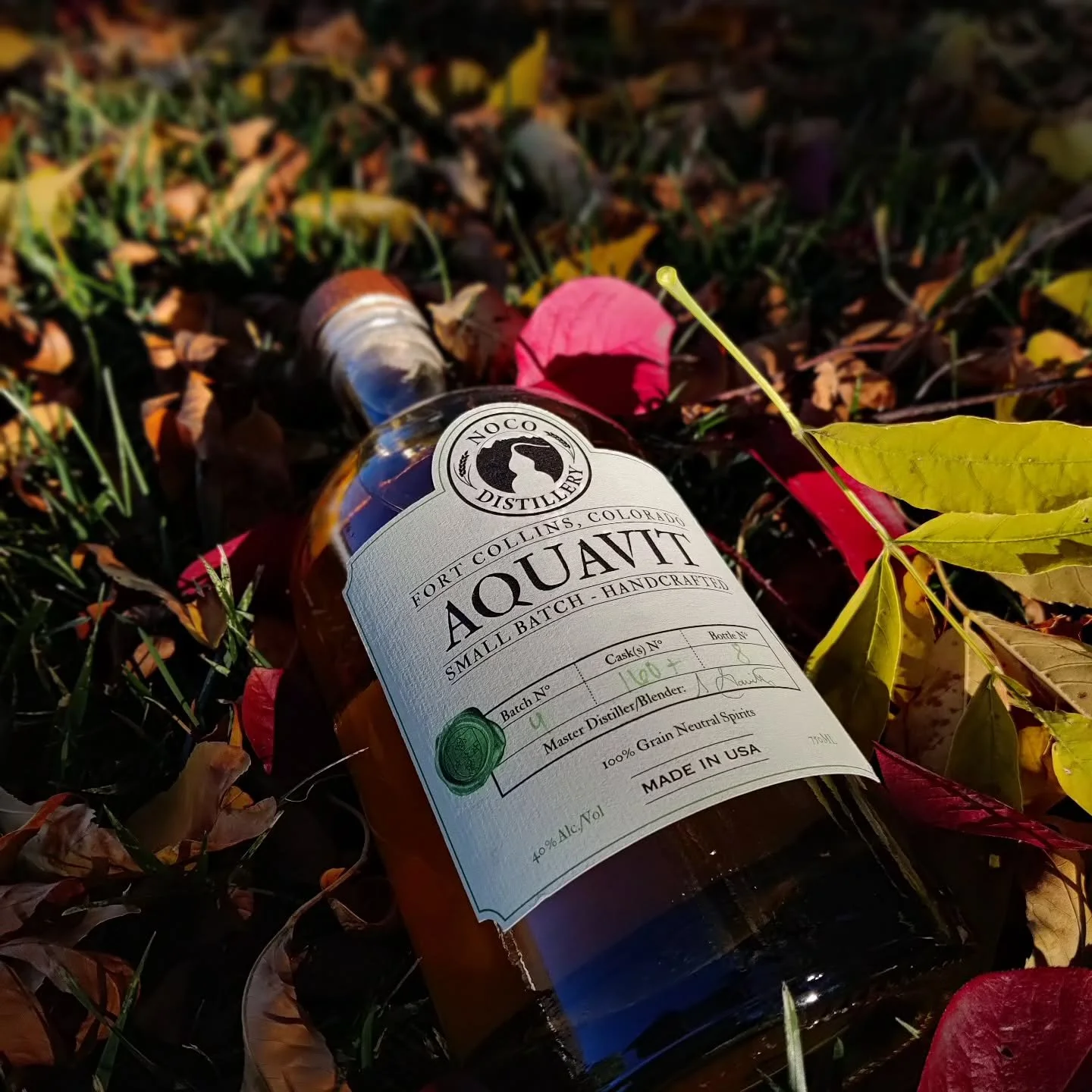 Fall is here. Perfect weather for our Aquavit Sour.

#fallvibes #aquavit #fortcollins #nocodistillery #fallcolors #rockymountains