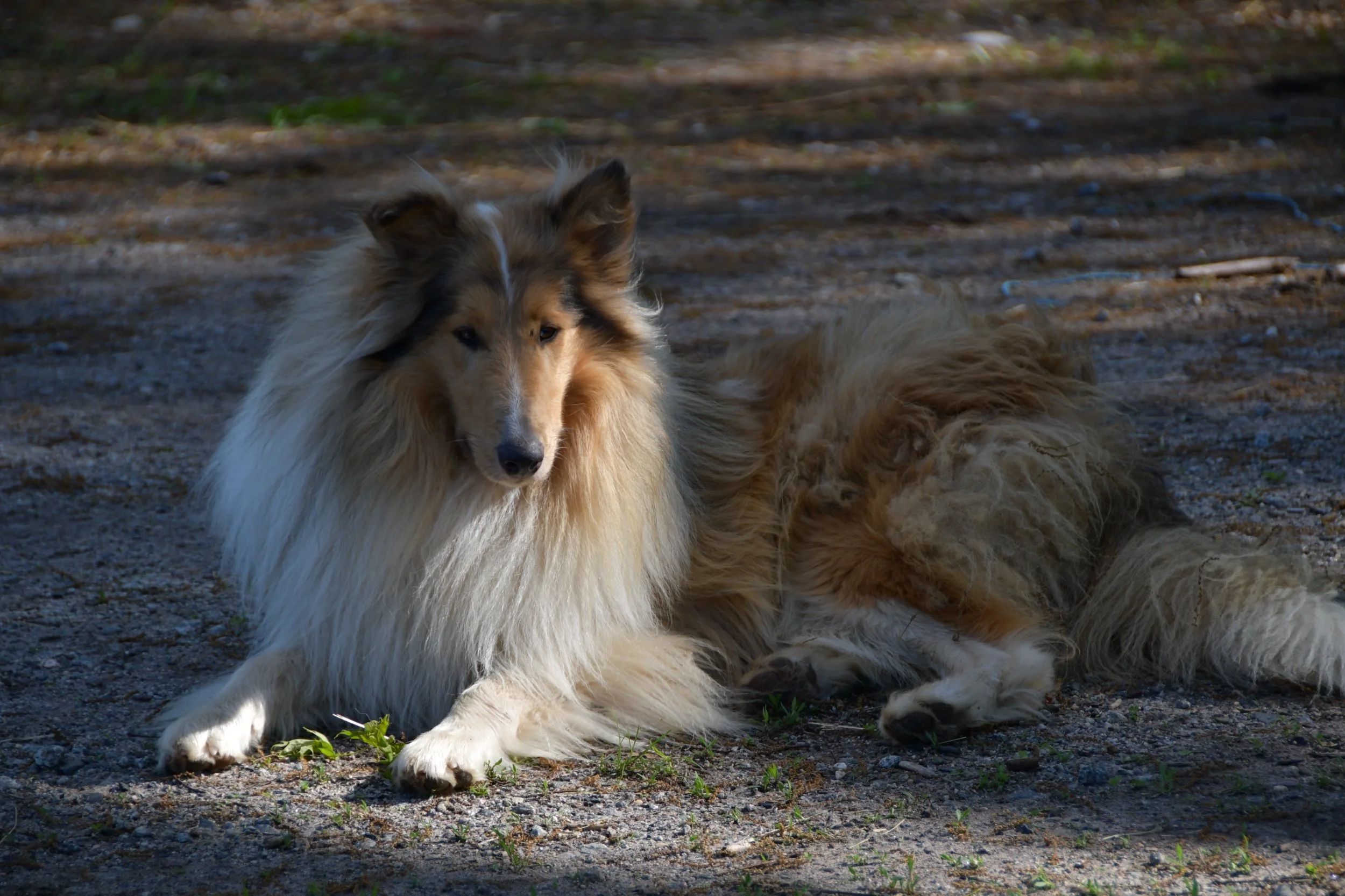 DSC_1263.jpeg