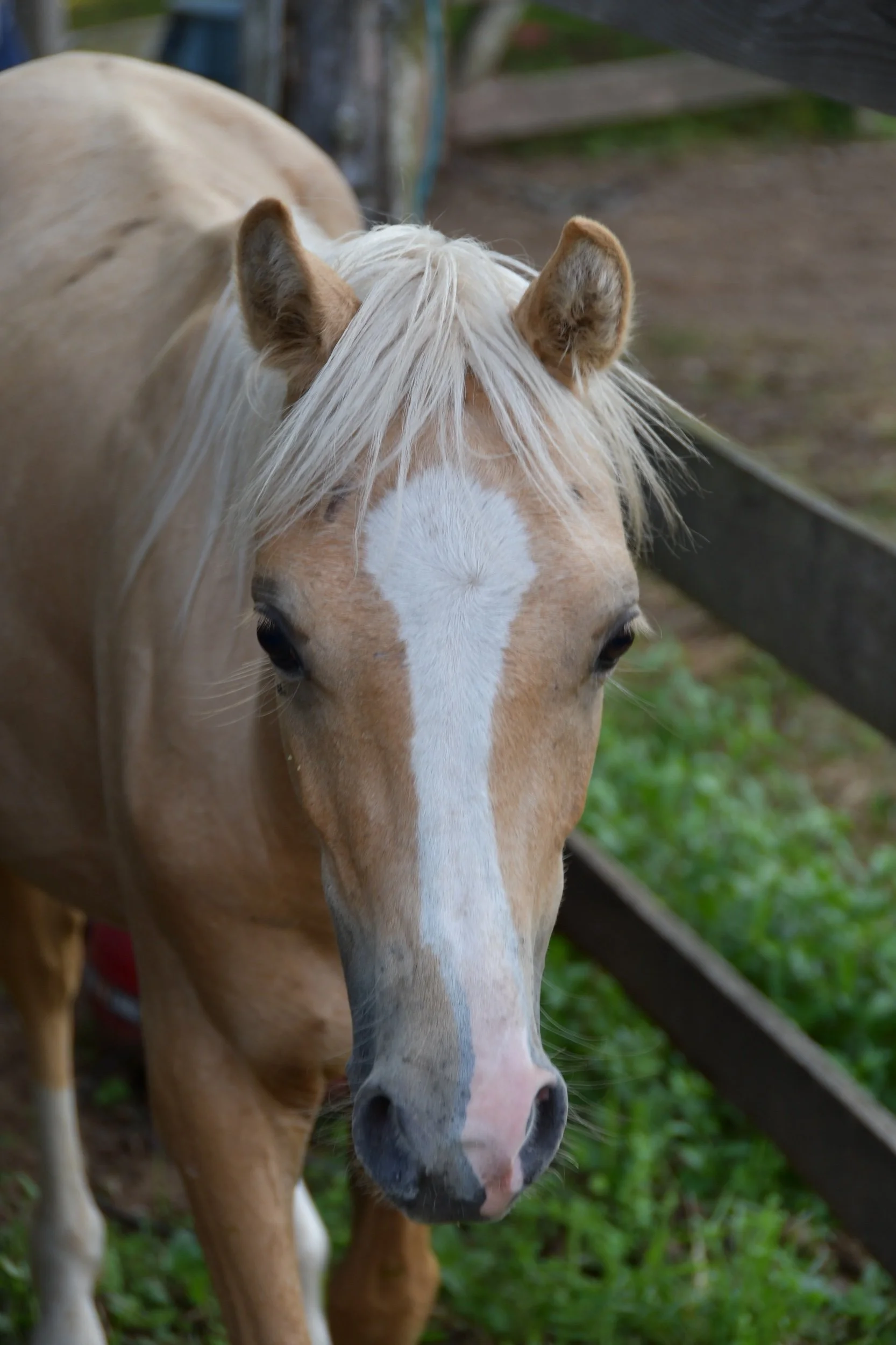 DSC_2291.jpeg