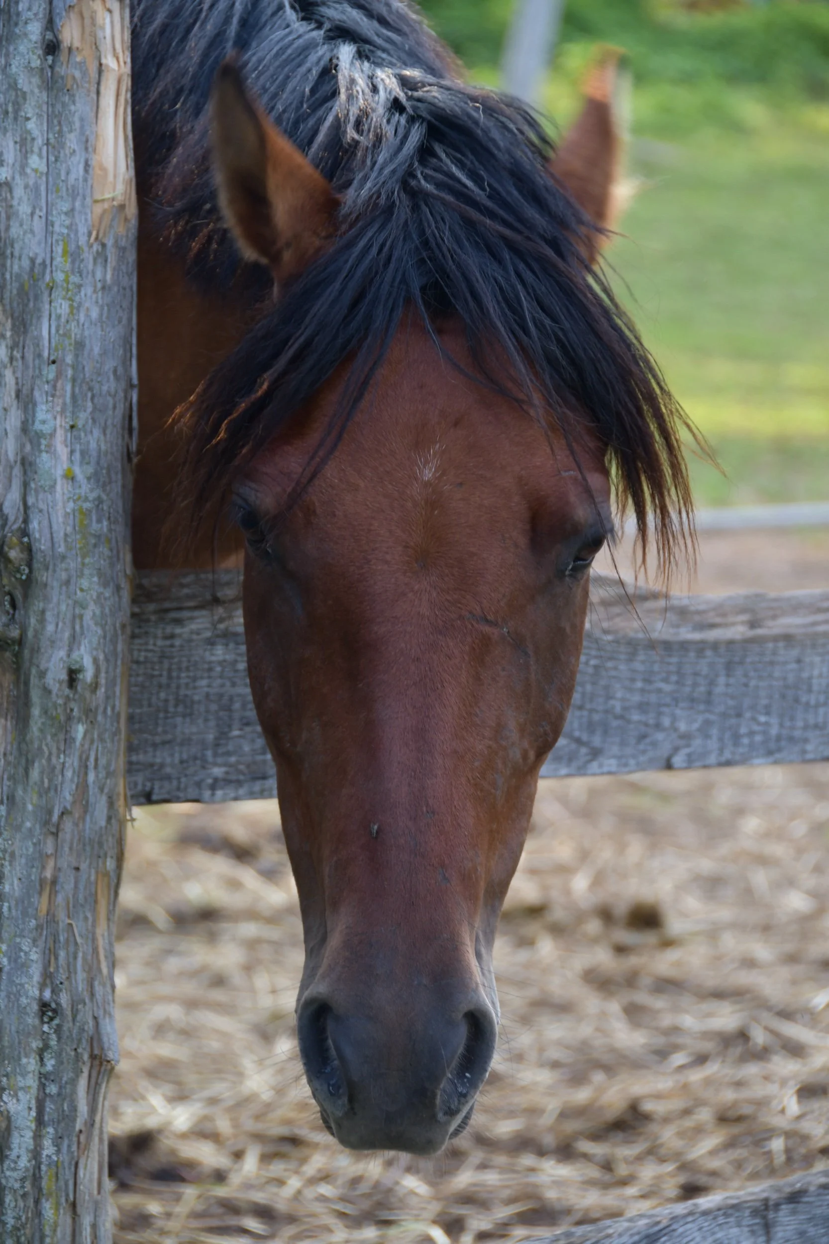 DSC_2294.jpeg