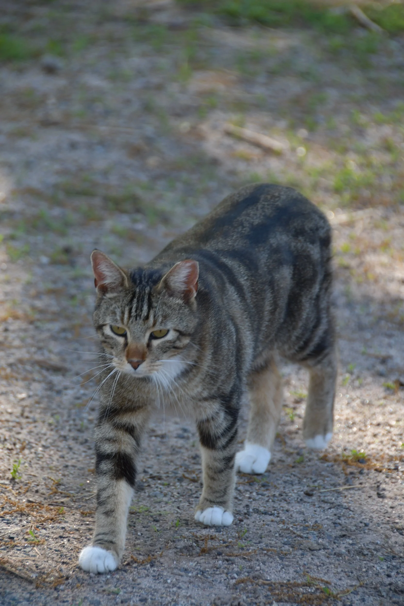 DSC_1472.jpeg