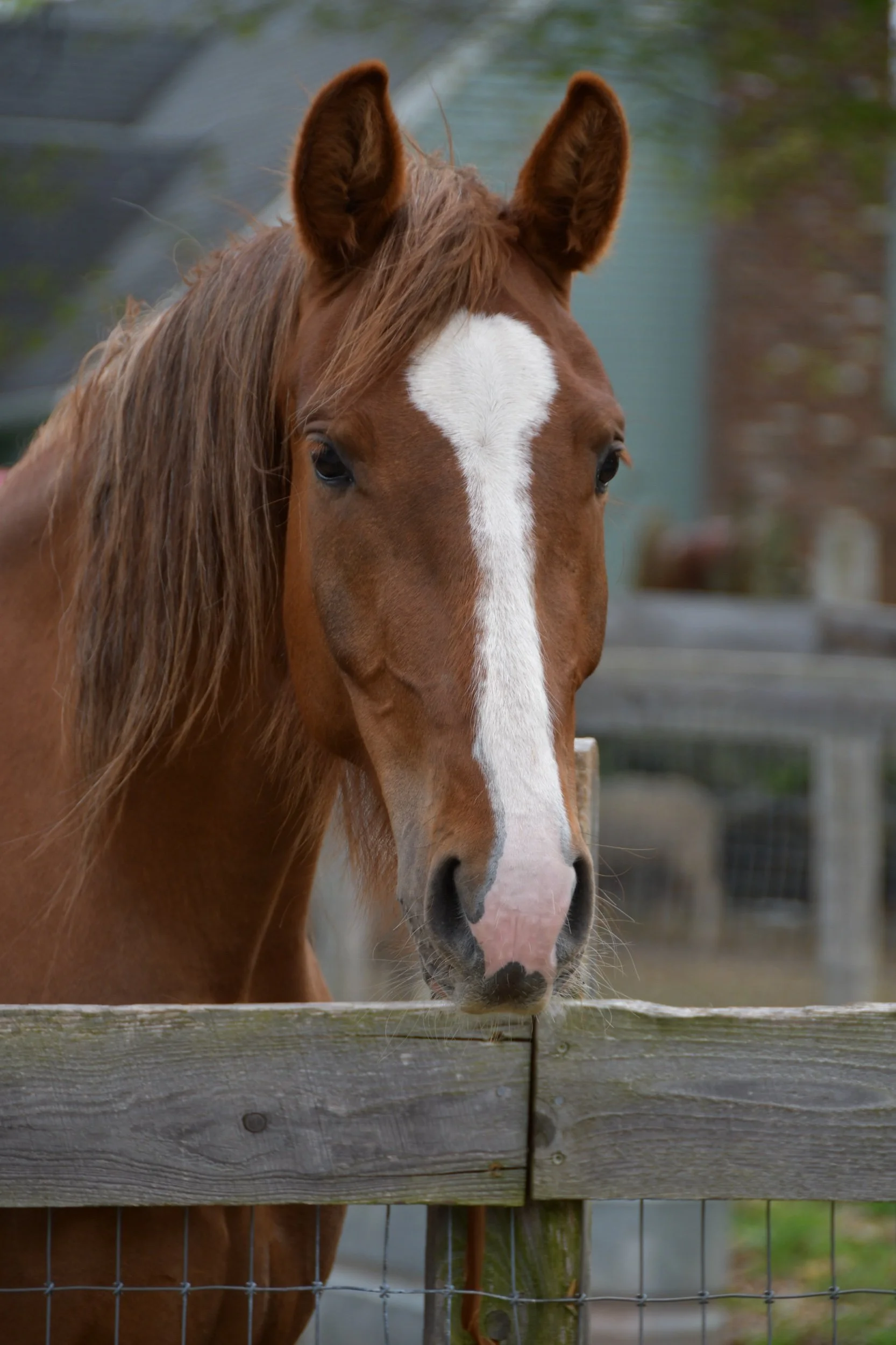 DSC_1053.jpeg