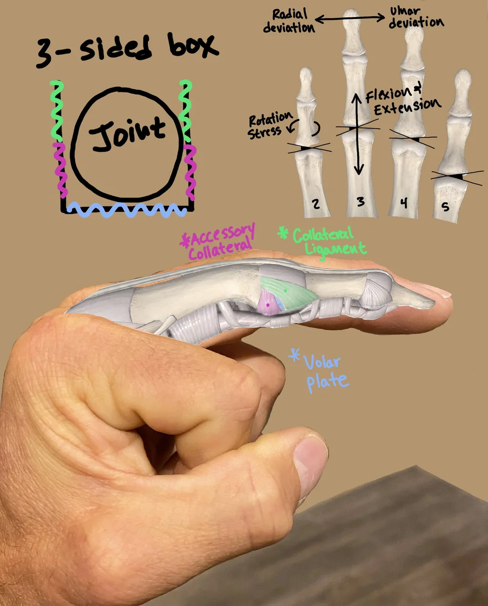 How to Prevent Finger Injuries Climbing: Expert Tips