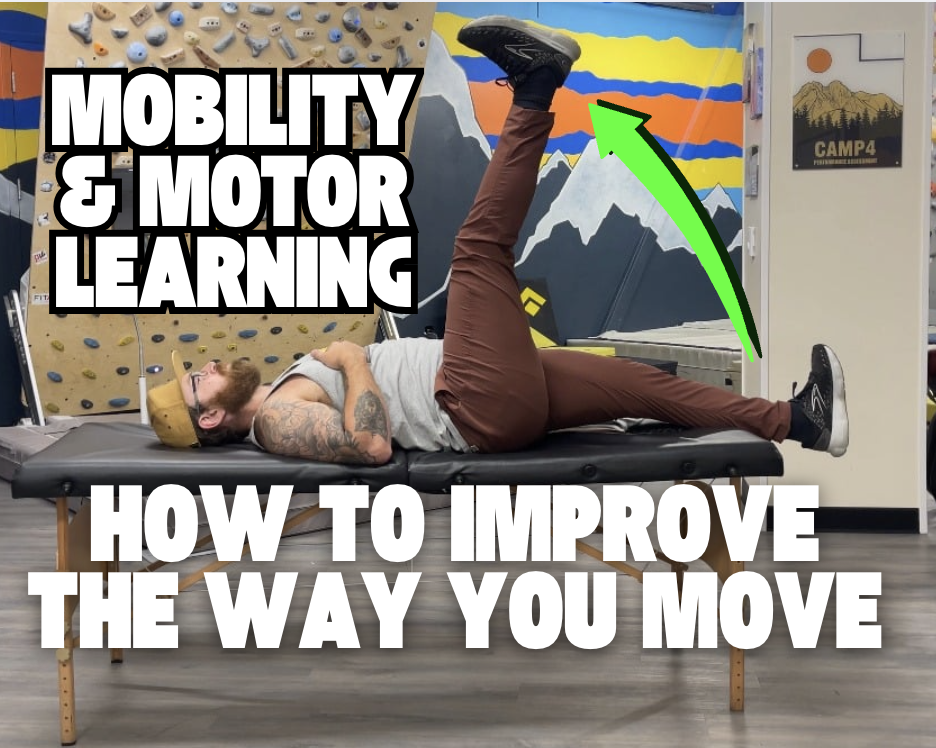 Mobility & Motor Learning: How to Improve the Way you Move (recording)