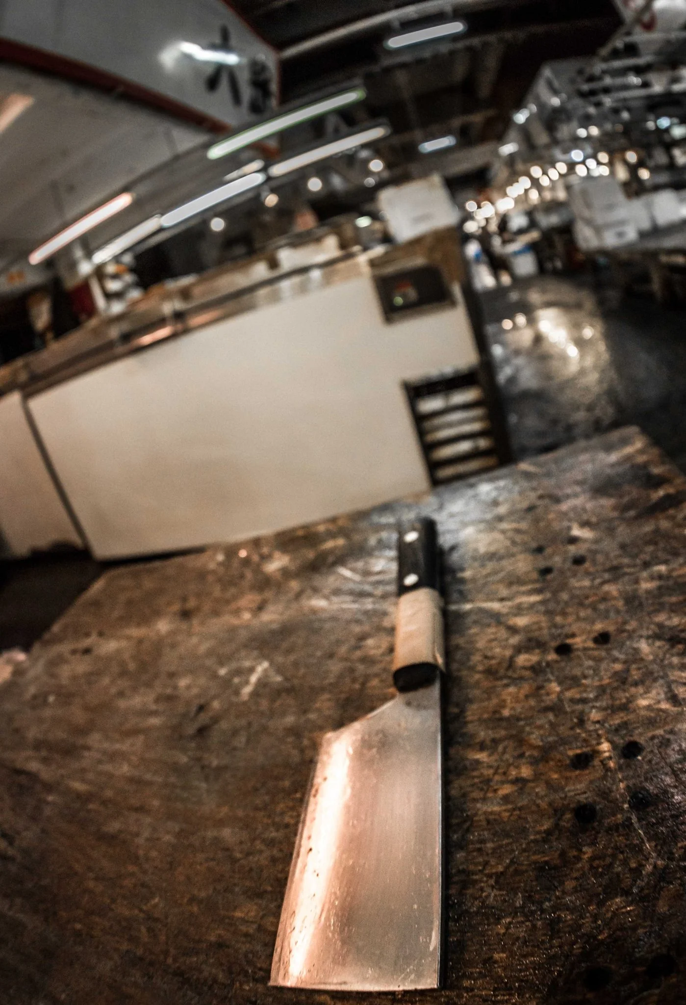 12622353_996646150409623_8564119694285337593_o.jpg