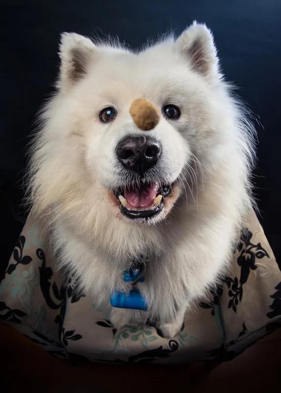 Bear.jpg