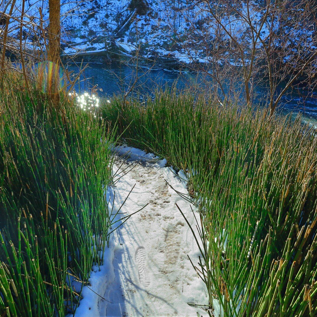 Quietly Flows the Don River, down through the core of the city, increasingly &quot;discovered&quot; by runners, bikers, and your everyday stroller.