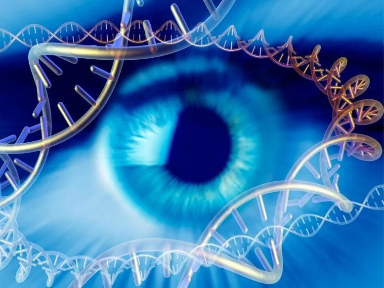 Emerging Directions and Gene Therapy in Vision Research