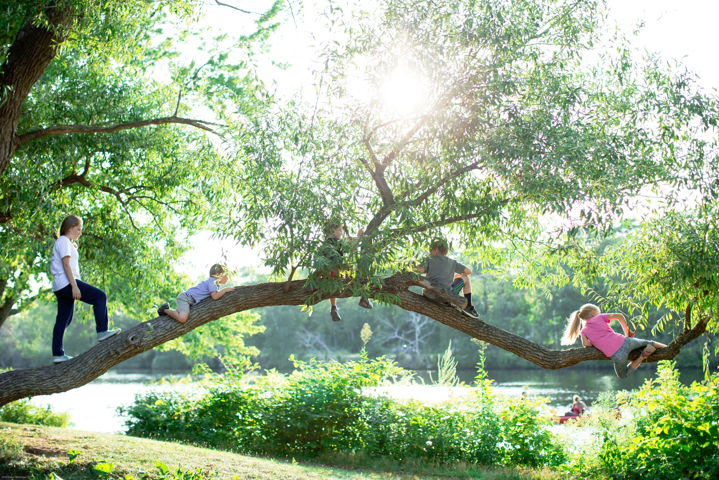 Kidstree-1.jpg