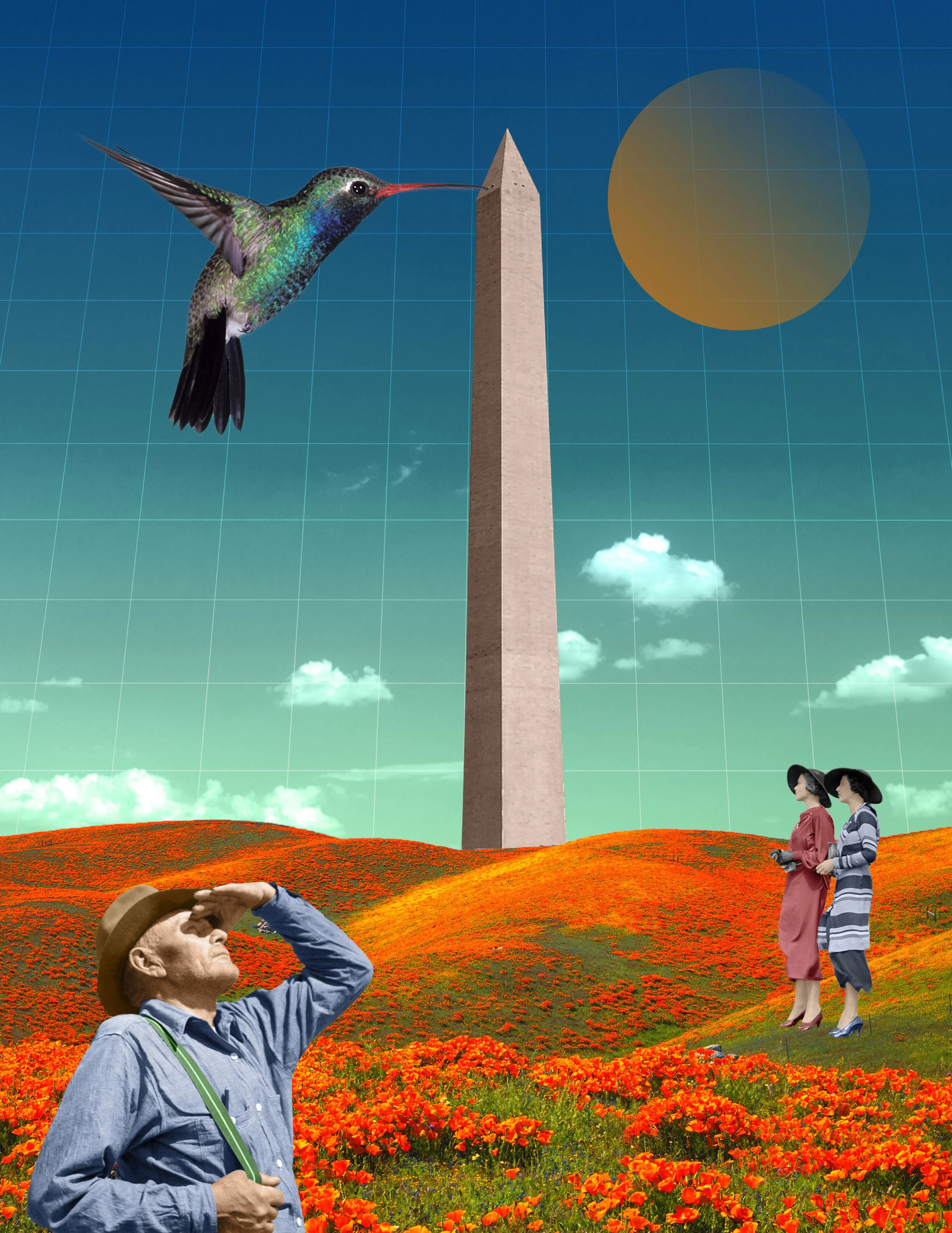 Violet's-Vision-1.jpg