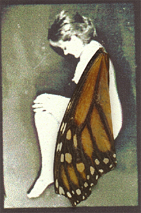 Monarch fairy