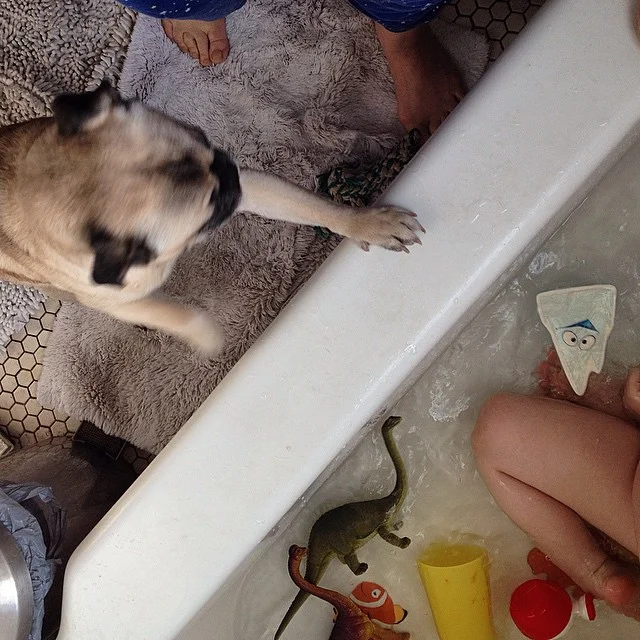 The bath