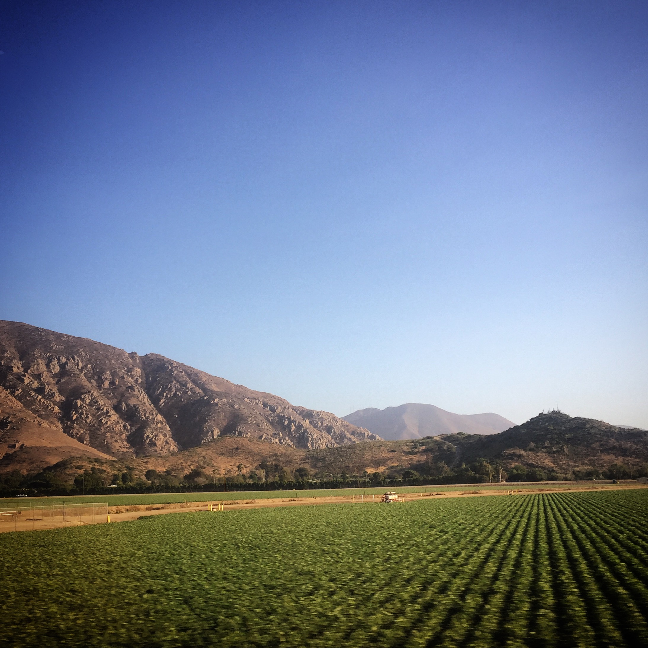 California Agriculture