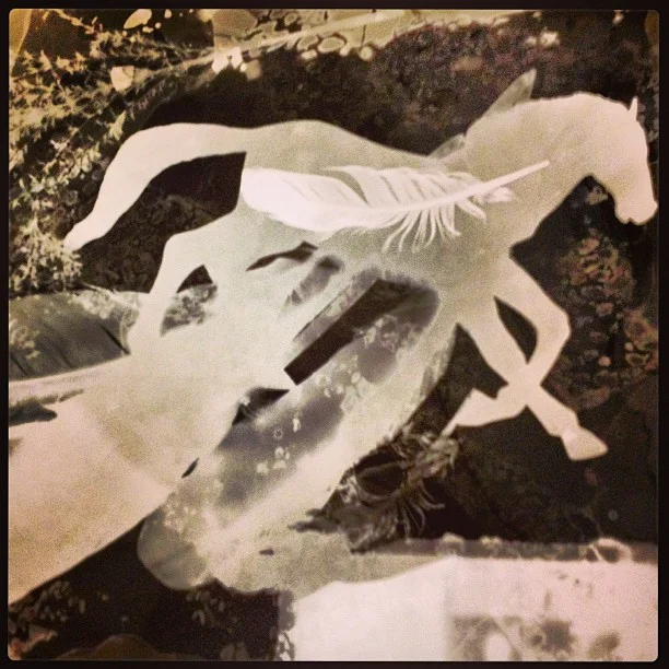 Pegasus