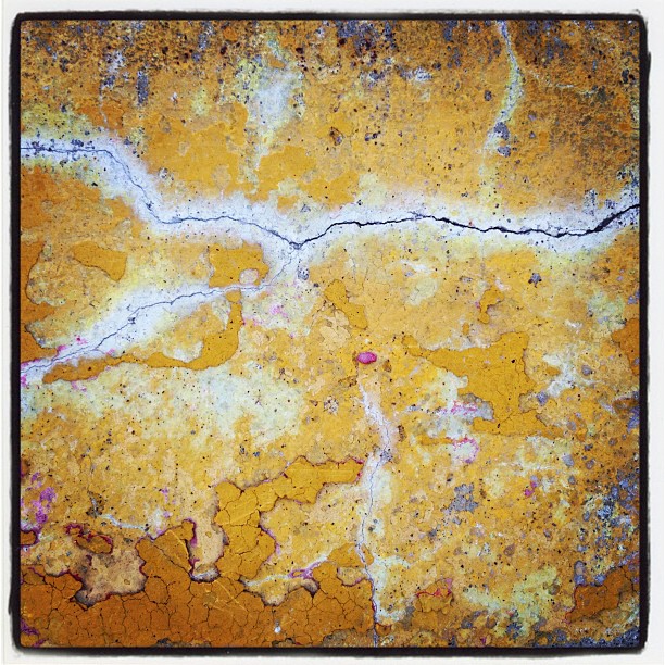 Yellow Vein