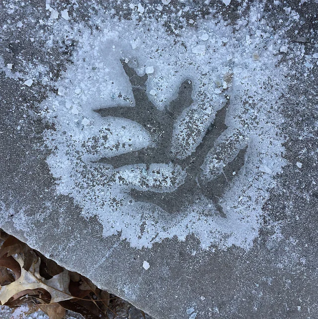 what was, 12JAN2018 Copyright~ LGHurcomb